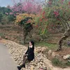 koiminhon91
