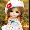 amirehamza805