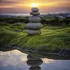 tuan.tran7979