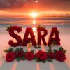 saraomer120