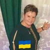 halyna3953