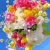 yasmine.1aa