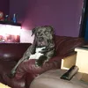 dannyboy10795