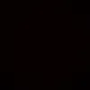 aras_2219