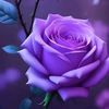 johana.rosa.11