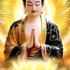 huynhtuang