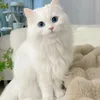 maram34007