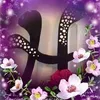 hassanhassane415