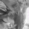 greefee_designer_ilham