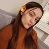 renafiguee