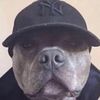 philtheman3