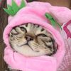 whos__michelle