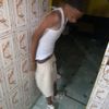 rd_yoelki