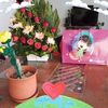 josefina.nava.par