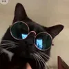 kakakcico
