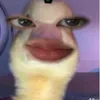 jijji45