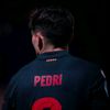 perdigonzalez