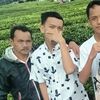 alfafamily25