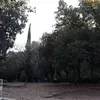 rabiapopila