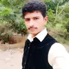 malikshokat6399