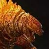 sandramakary0