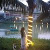 rimi_383