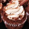 blacklotuscupcakes