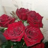 user8494094060619