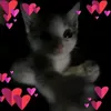 jjk.tebo