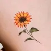 daisdian