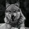 user471c54tu43