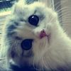 myby4u0