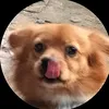 (: