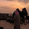 musulman_95sunna