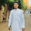 hassanelashry650