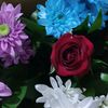 aide.fetullayeva