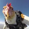 _slunicko_69