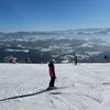 _antalovaa_