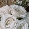 gmailail583