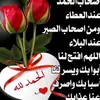 aichakhalid265