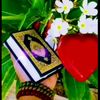 langga_bugs