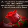 bozkurt066601