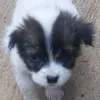 idabaguslo
