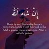 zainabsy01