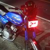 elfalso502