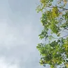 hh.123.2