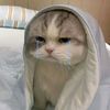 sherena_o.f