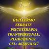 guillermozerrate8