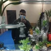 hoangtbhh