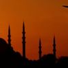 rehanbegum335